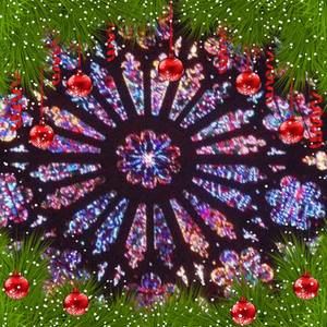 Meet your Posher, Cissy pelegrin